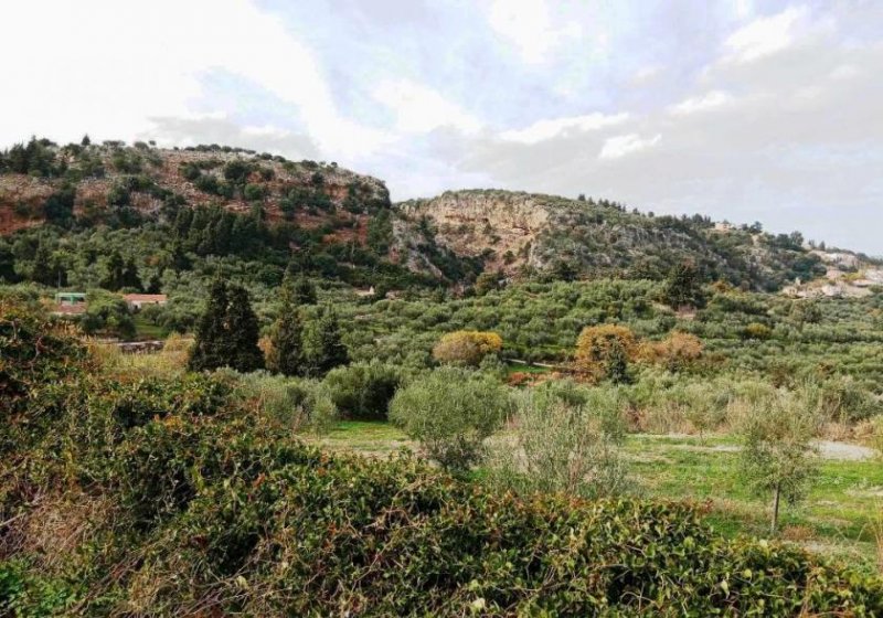 Pemonia Kreta, Pemonia: Grundstück innerhalb der Siedlung zu verkaufen Grundstück kaufen